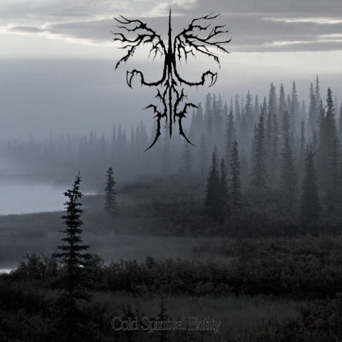 Ancient Boreal Forest : Cold Spiritual Entity